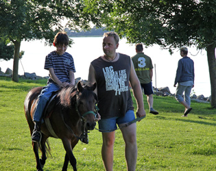 pferd