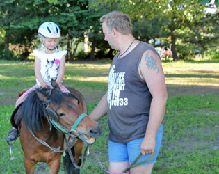 pferd02